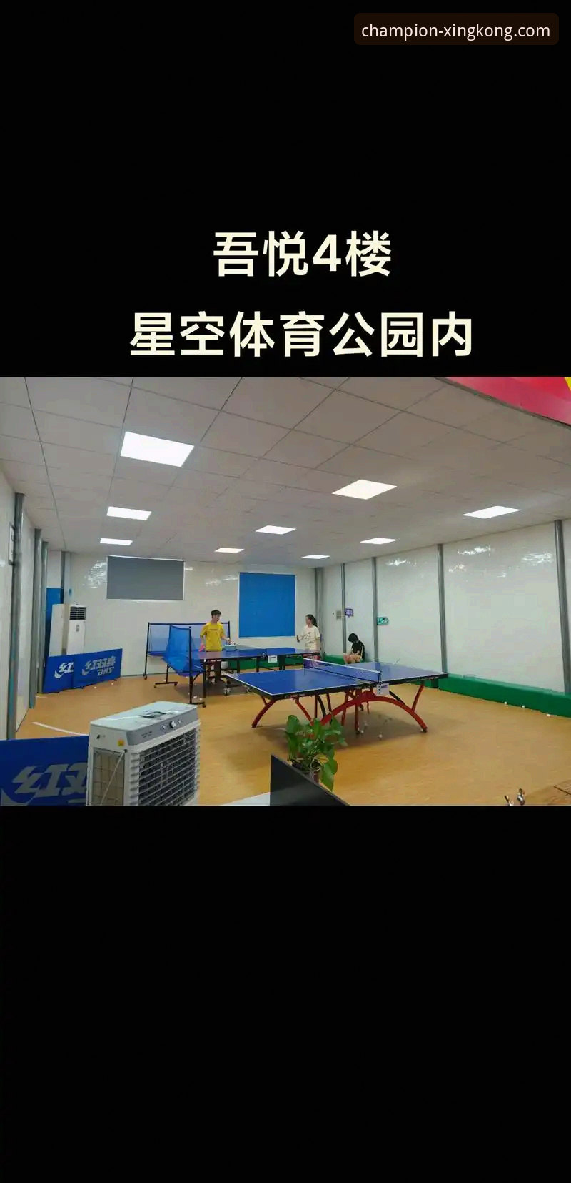 星空体育电脑版哪个好 星空体育电脑版哪个好?星空体育官网v3.5.2全面评测与方案对比